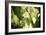 Butterfly I-Erin Berzel-Framed Photographic Print