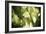 Butterfly I-Erin Berzel-Framed Photographic Print