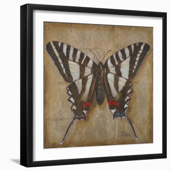 Butterfly I-Patricia Pinto-Framed Art Print