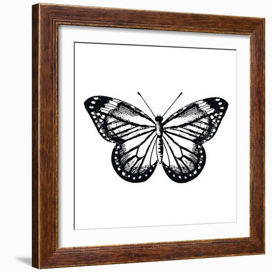 Butterfly II-Clara Wells-Framed Giclee Print