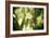 Butterfly II-Erin Berzel-Framed Photographic Print