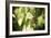 Butterfly II-Erin Berzel-Framed Photographic Print