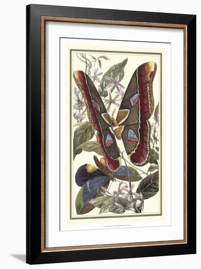 Butterfly II-Vision Studio-Framed Premium Giclee Print