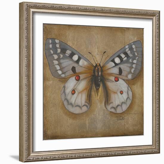 Butterfly II-Patricia Pinto-Framed Art Print