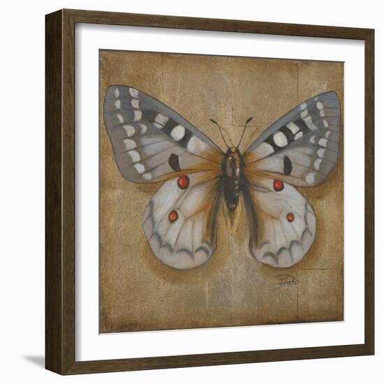 Butterfly II-Patricia Pinto-Framed Art Print