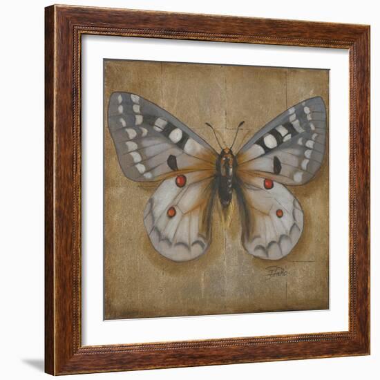 Butterfly II-Patricia Pinto-Framed Art Print