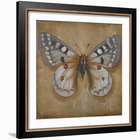 Butterfly II-Patricia Pinto-Framed Art Print