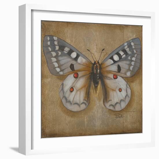 Butterfly II-Patricia Pinto-Framed Art Print