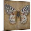 Butterfly II-Patricia Pinto-Mounted Art Print