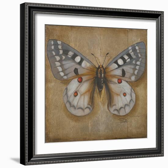 Butterfly II-Patricia Pinto-Framed Art Print