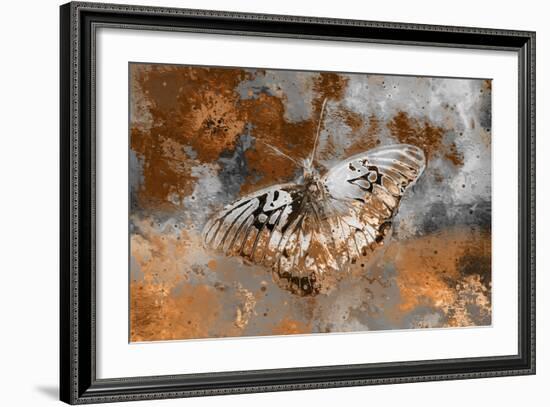 Butterfly II-Fernando Palma-Framed Giclee Print