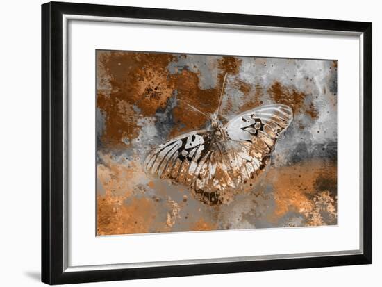 Butterfly II-Fernando Palma-Framed Giclee Print