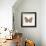 Butterfly III-Sophie Golaz-Framed Premium Giclee Print displayed on a wall