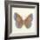 Butterfly III-Sophie Golaz-Framed Premium Giclee Print