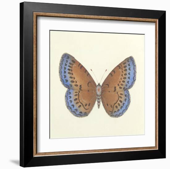 Butterfly III-Sophie Golaz-Framed Premium Giclee Print