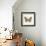 Butterfly III-Sophie Golaz-Framed Premium Giclee Print displayed on a wall