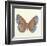 Butterfly III-Sophie Golaz-Framed Premium Giclee Print