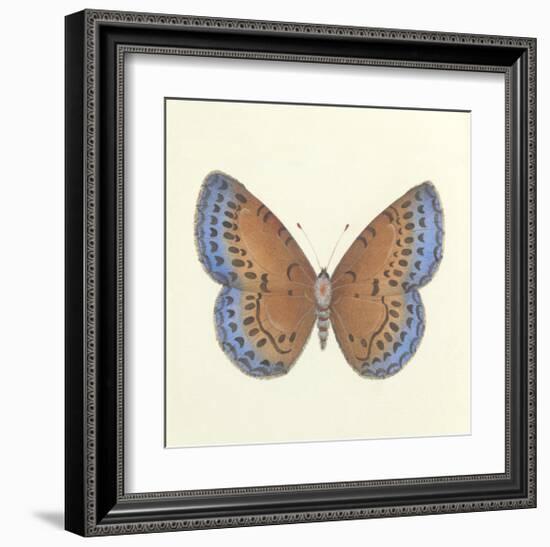 Butterfly III-Sophie Golaz-Framed Premium Giclee Print