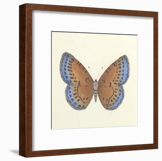 Butterfly III-Sophie Golaz-Framed Premium Giclee Print