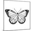 Butterfly III-Clara Wells-Mounted Giclee Print