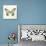 Butterfly Impression II-Irene Suchocki-Giclee Print displayed on a wall
