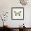 Butterfly Impression II-Irene Suchocki-Framed Giclee Print displayed on a wall