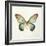 Butterfly Impression II-Irene Suchocki-Framed Giclee Print