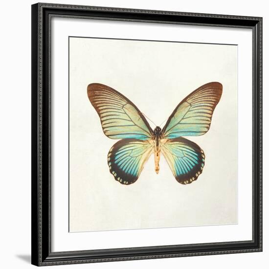 Butterfly Impression II-Irene Suchocki-Framed Giclee Print