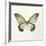 Butterfly Impression II-Irene Suchocki-Framed Giclee Print