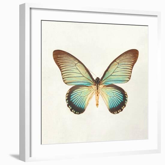 Butterfly Impression II-Irene Suchocki-Framed Giclee Print