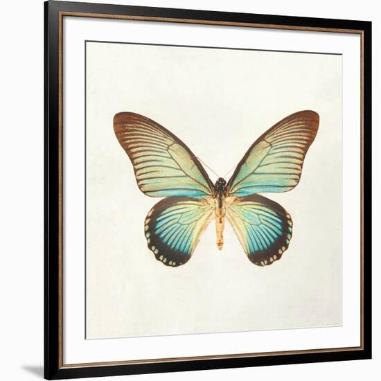 Butterfly Impression II-Irene Suchocki-Framed Giclee Print