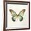 Butterfly Impression II-Irene Suchocki-Framed Giclee Print