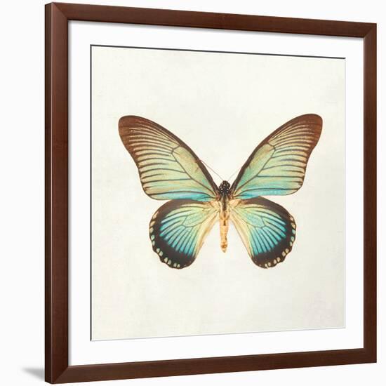 Butterfly Impression II-Irene Suchocki-Framed Giclee Print