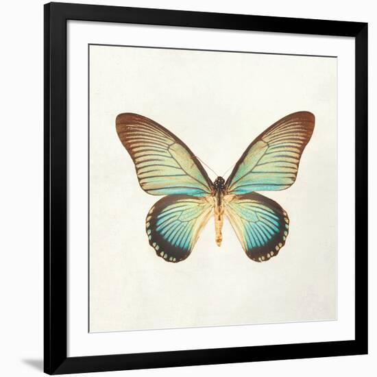 Butterfly Impression II-Irene Suchocki-Framed Giclee Print