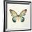Butterfly Impression II-Irene Suchocki-Framed Giclee Print