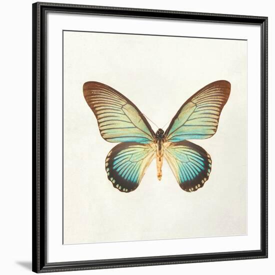 Butterfly Impression II-Irene Suchocki-Framed Giclee Print