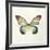 Butterfly Impression II-Irene Suchocki-Framed Giclee Print