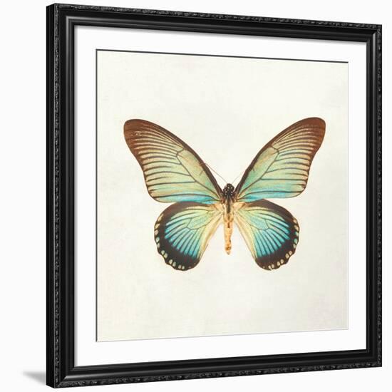 Butterfly Impression II-Irene Suchocki-Framed Giclee Print