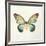 Butterfly Impression II-Irene Suchocki-Framed Giclee Print