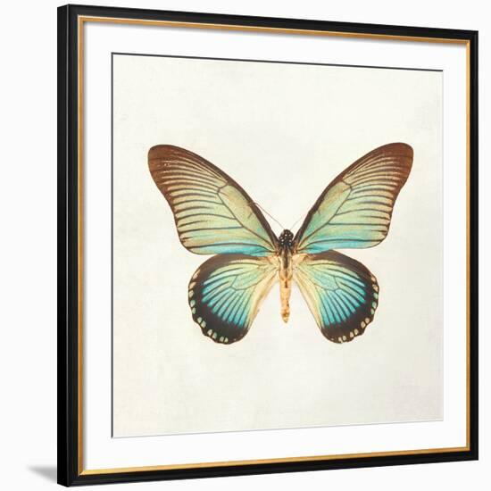 Butterfly Impression II-Irene Suchocki-Framed Giclee Print