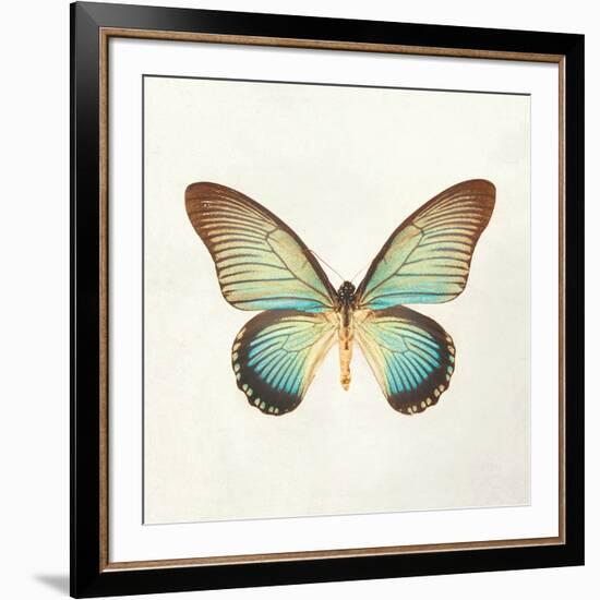 Butterfly Impression II-Irene Suchocki-Framed Giclee Print