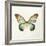 Butterfly Impression II-Irene Suchocki-Framed Giclee Print