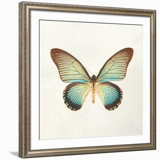 Butterfly Impression II-Irene Suchocki-Framed Giclee Print