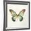 Butterfly Impression II-Irene Suchocki-Framed Giclee Print