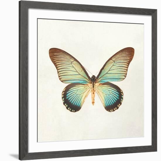 Butterfly Impression II-Irene Suchocki-Framed Giclee Print