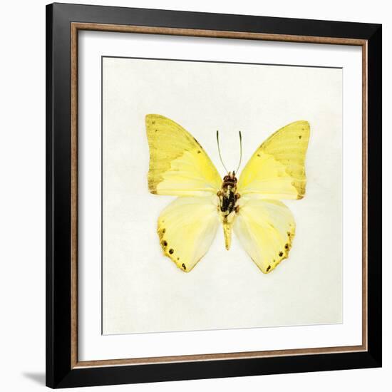 Butterfly Impression III-Irene Suchocki-Framed Giclee Print