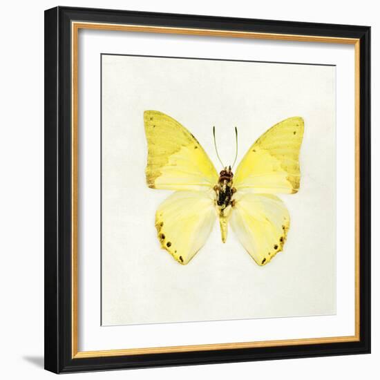 Butterfly Impression III-Irene Suchocki-Framed Giclee Print