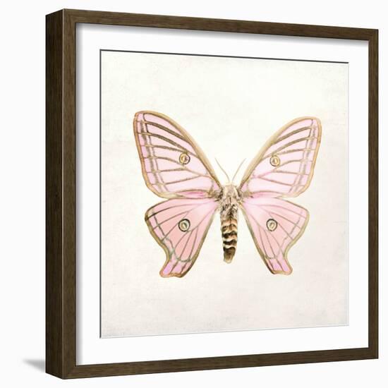 Butterfly Impression IV-Irene Suchocki-Framed Giclee Print