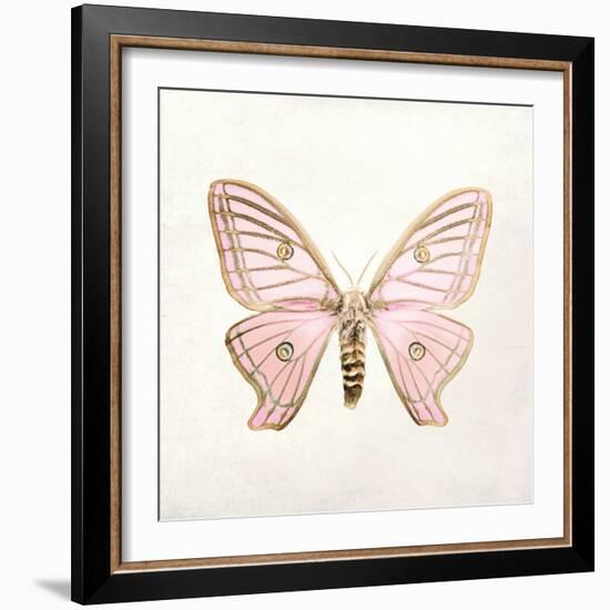 Butterfly Impression IV-Irene Suchocki-Framed Giclee Print