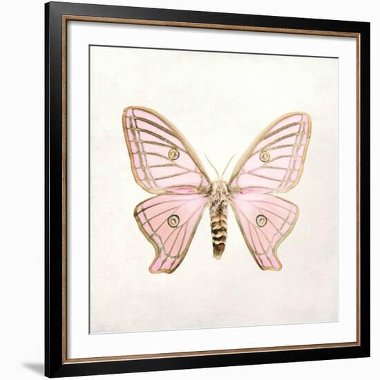 Butterfly Impression IV-Irene Suchocki-Framed Giclee Print